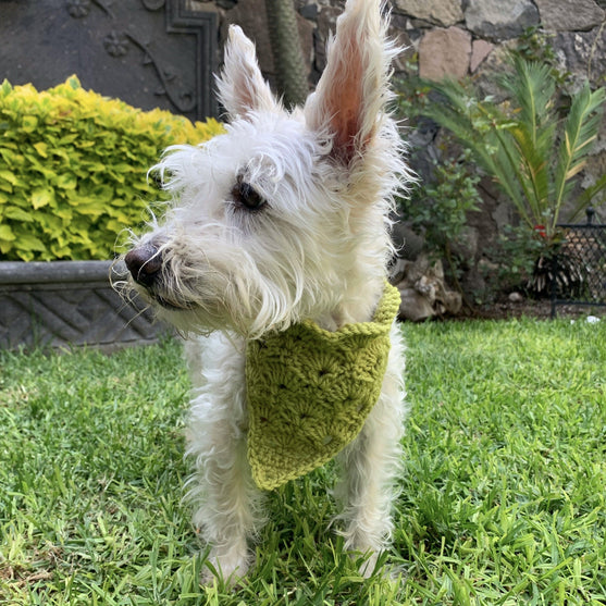 

Cuddly Wrap - Hundscarf
4