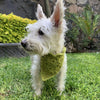 

Cuddly Wrap - Hundscarf
4