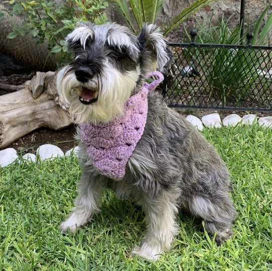 Cuddly Wrap - Hundscarf