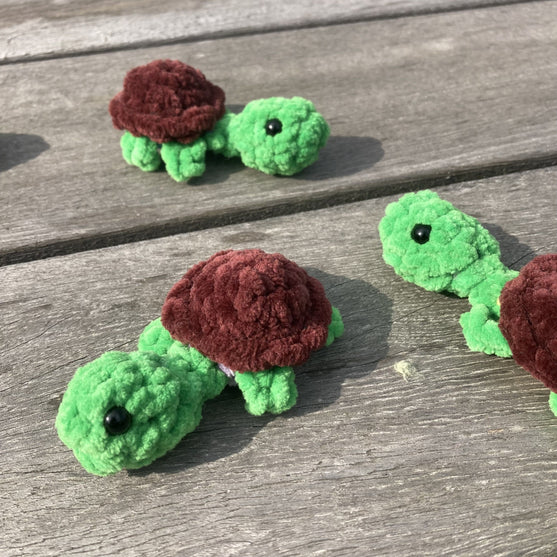 

Rainbow Turtles - Memory Spel
11