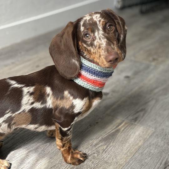 Wes - Hund Scarf