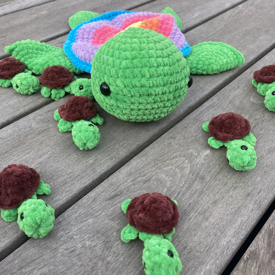 Rainbow Turtles - Memory Spel