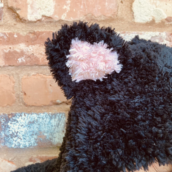 

Hooded Cat - Kappa
4