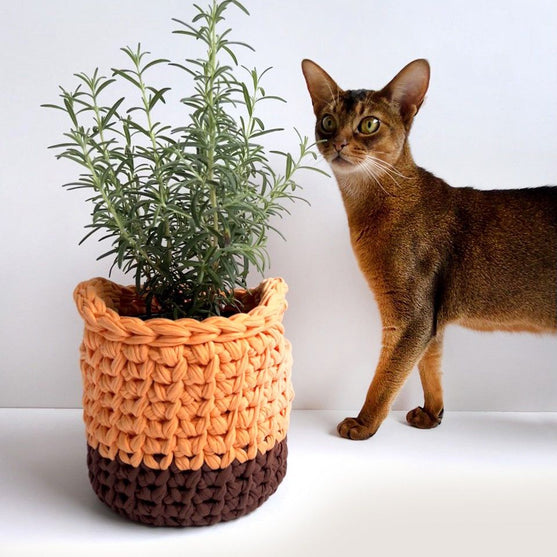 

Keep It - Korg Set
7