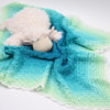 

Deluxe Baby Blanket
6