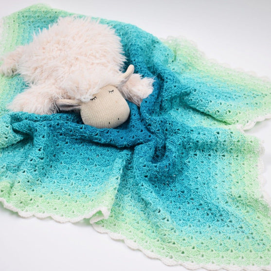 

Deluxe Baby Blanket
6