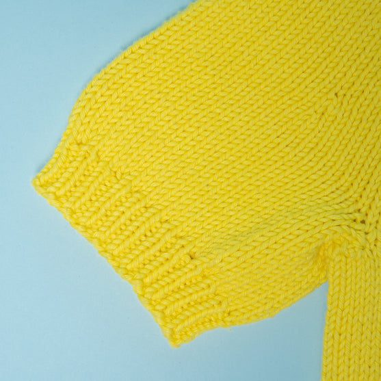 

Den Gula Tröjan - Tour de France
4